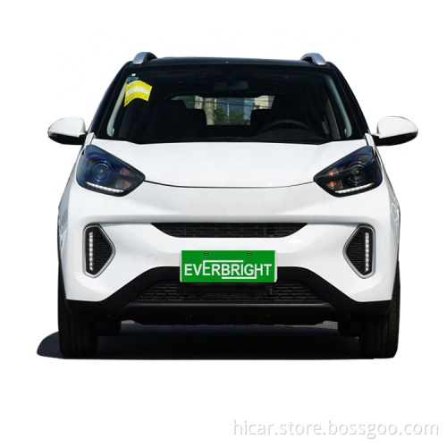 Modular Design Micro Car Electric Utility Vehicle, 2 Seater Electric Cars For Adult auto electrico